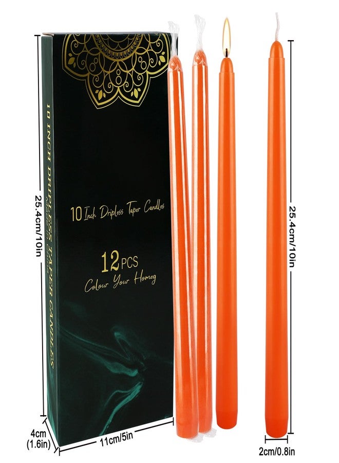 ECLHTLNY 12-Pack 10-Inch Orange Taper Candles - Cotton Core, Clean Burning unscented, Drip-Free & Smokeless, Elegant Conical Design for Halloween, Weddings & Family Celebrations - Image 3